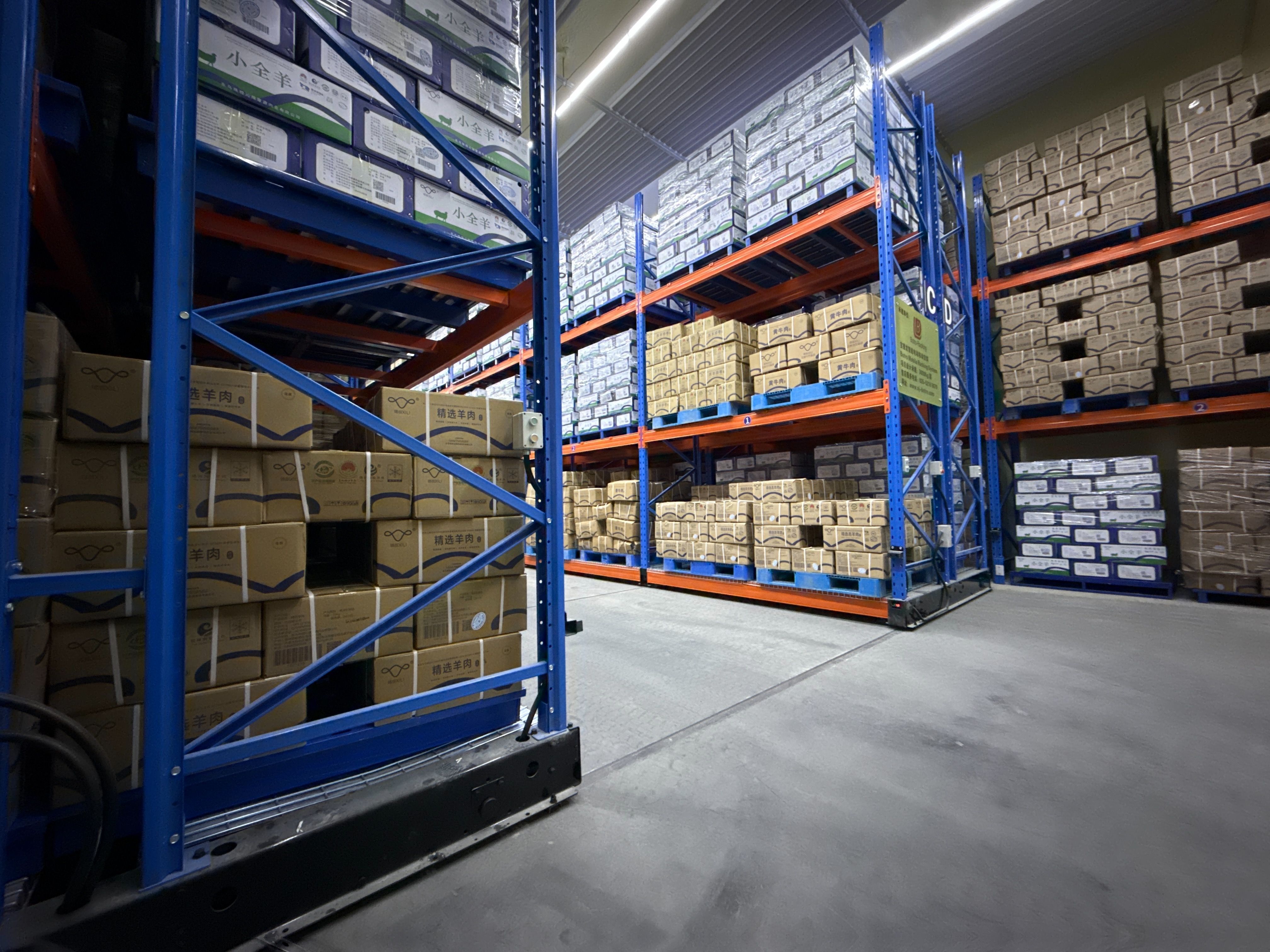 cold storage mobile racking giá lưu trữ lạnh giá di động